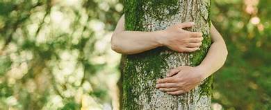 I’ll always be a&nbsp;tree-hugger.